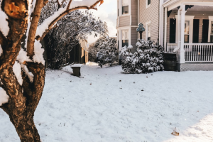 A snowy yard